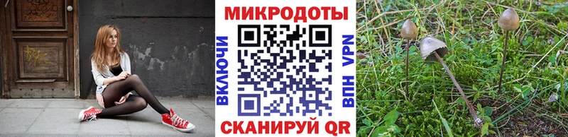 магазин  наркотиков  Старая Купавна  Псилоцибиновые грибы GOLDEN TEACHER 